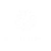 squarespace